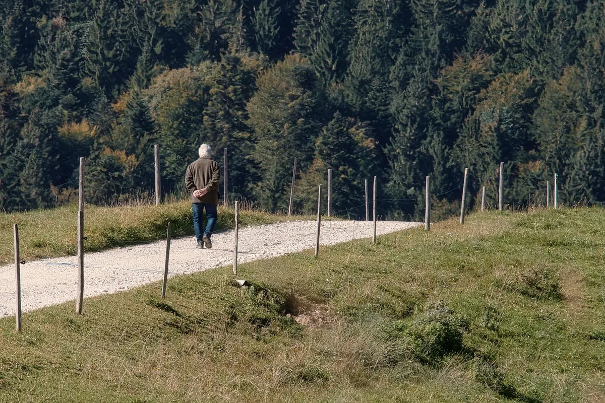 Walking for Spine Health: How Much, How Often and How Fast?